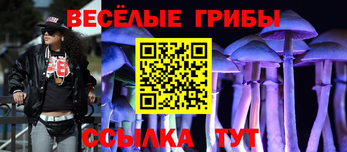 Галлюциногенные грибы мухоморы  Вход с VPN  Галлюциногенные грибы ЛСД  Павловский Посад 