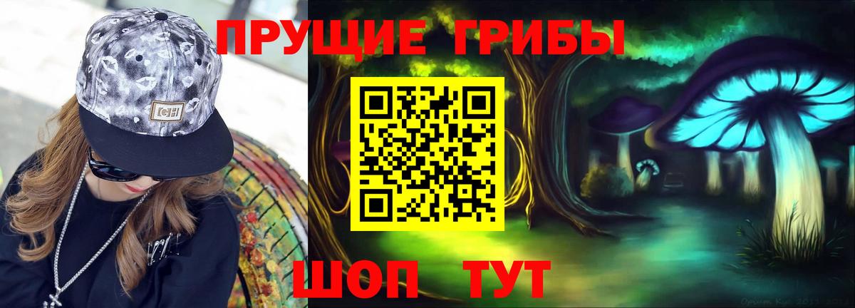 Псилоцибиновые грибы GOLDEN TEACHER Павловский Посад
